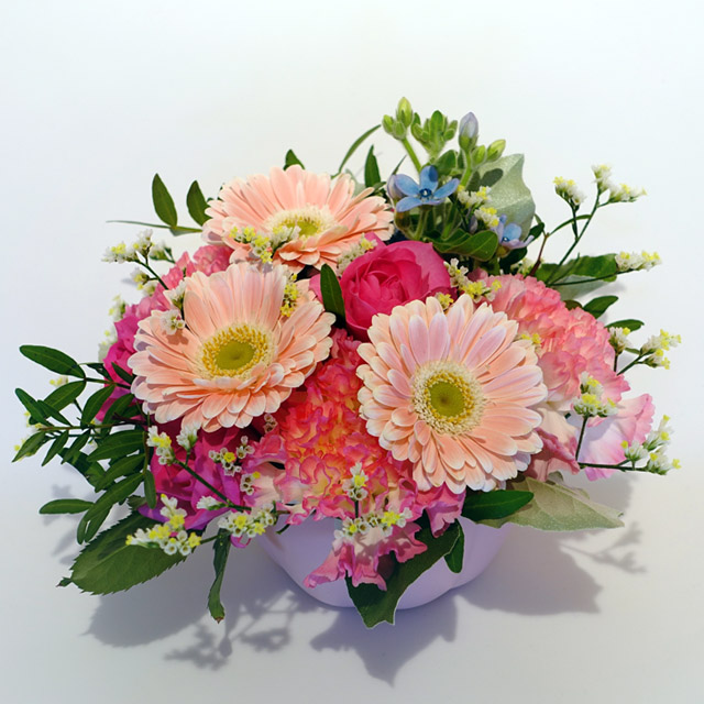 ペットのお供え花　お色が選べるおまかせ生花アレンジメント（ピンク系・Sサイズ）